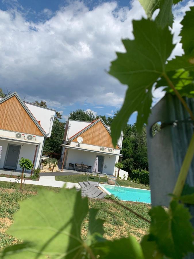 Weinberg Chalets Eisenberg an der Pinka 외부 사진
