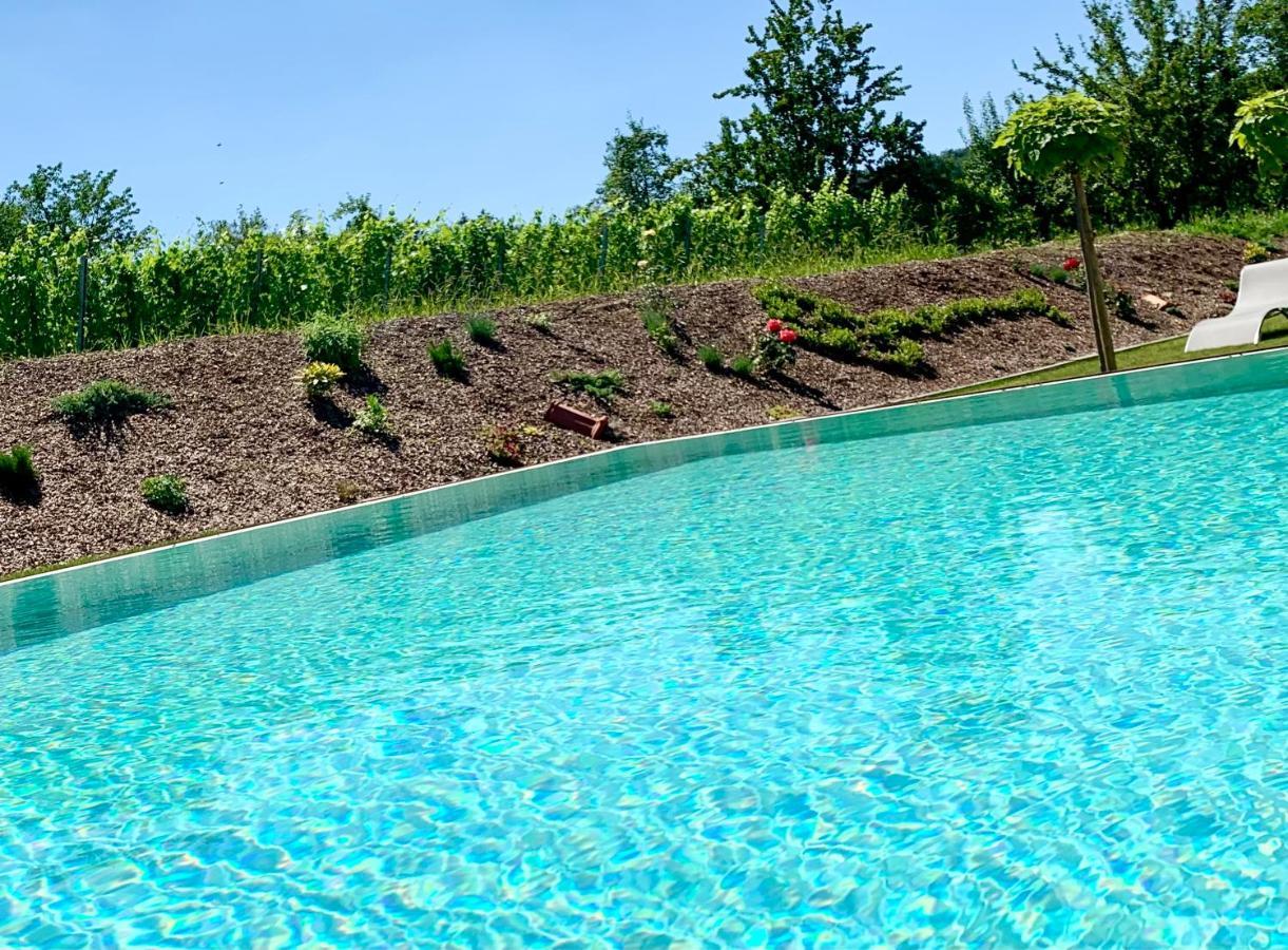 Weinberg Chalets Eisenberg an der Pinka 외부 사진